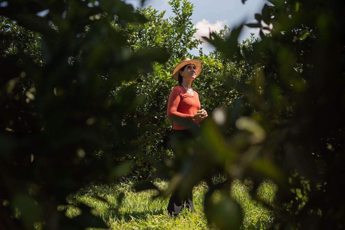 Mogi Guaçu, São Paulo, Brazil, 4 april 2023:
Sandra Zanardi is an entrepreneur from the countryside of São Paulo who works with citrus farming. She receives personalized assistance from Selma, an agronomist from the Solidaridad Foundation. Together, they are working to improve the quality of their orchards and overcome the challenges of agricultural production. With the help of Selma and the Solidaridad Foundation, Sandra is learning new techniques and practices to optimize her production and achieve better results.
Photo: Avener Prado