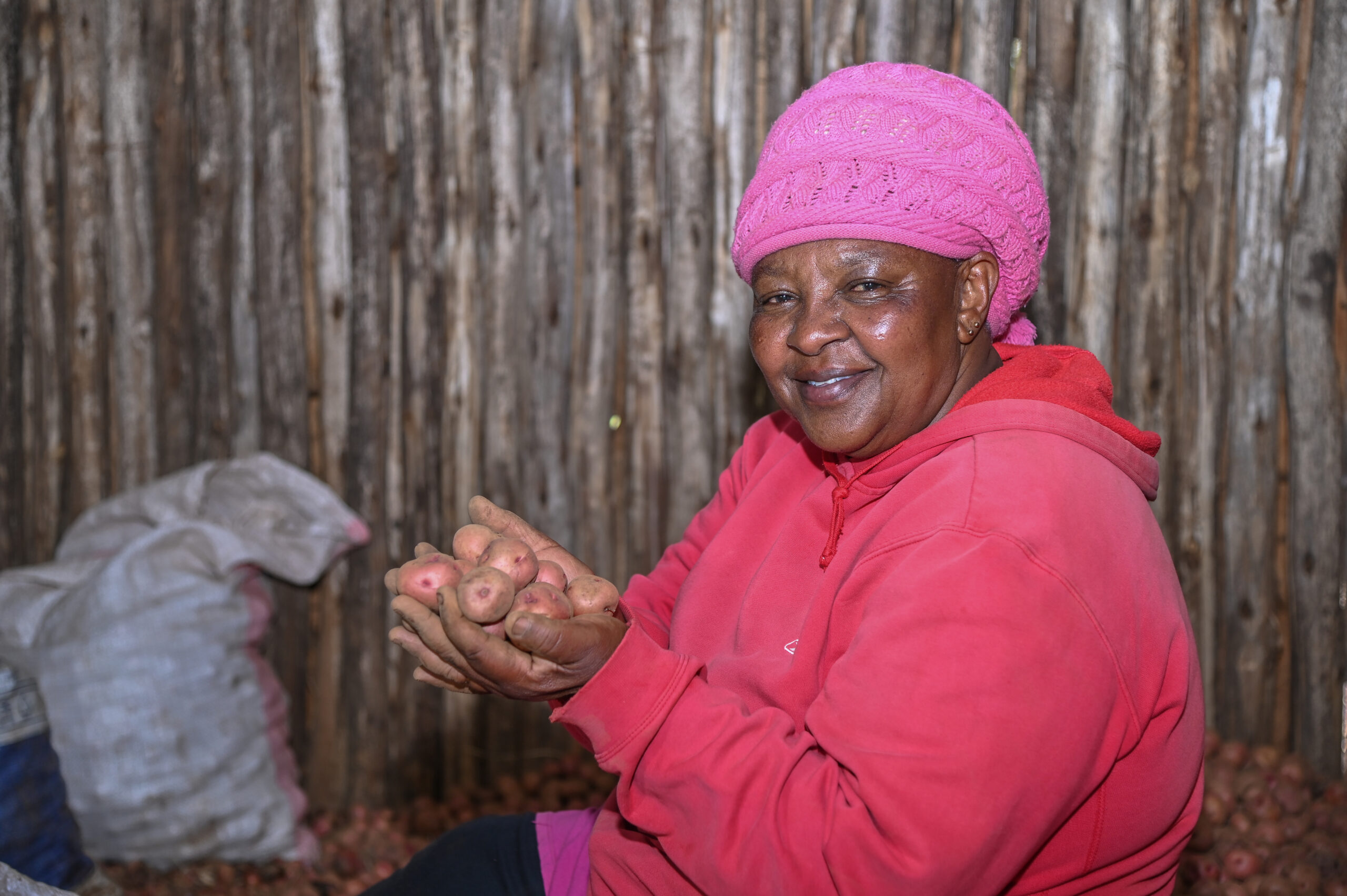 Sustainably produced commodities - Ngeno sorting her potatoes produce from the farm