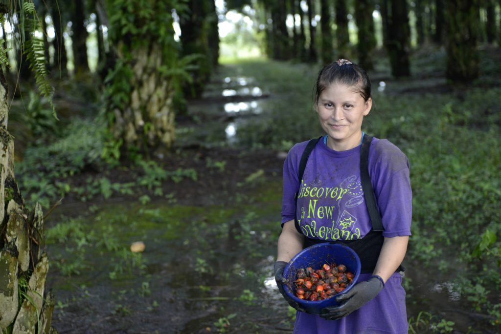 Palm-oil- supply chain sustainability-photo credits Henkel