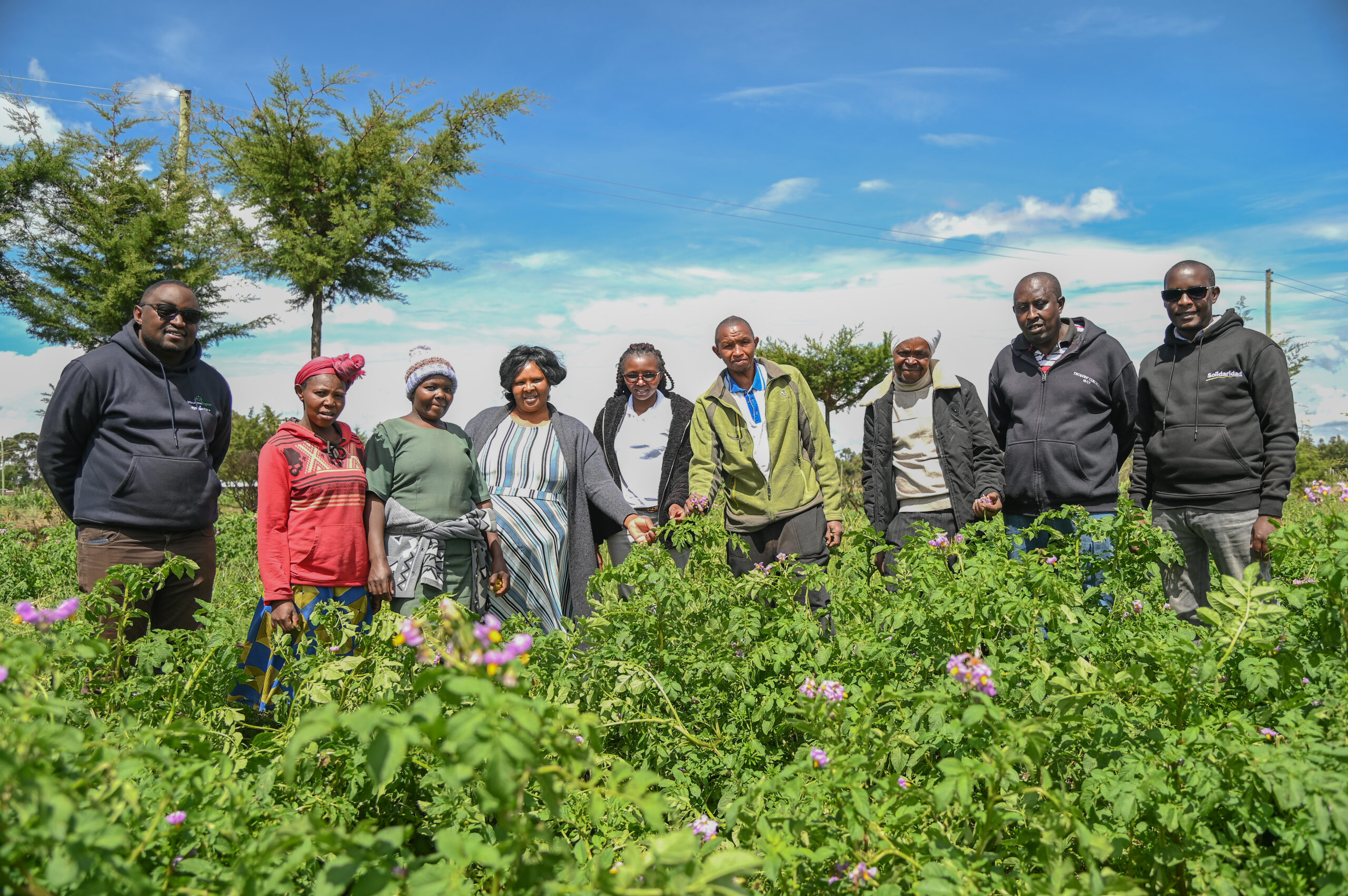 Joseph Maina and his farmer group members in his potato farm, Nyandarua county, Kenya