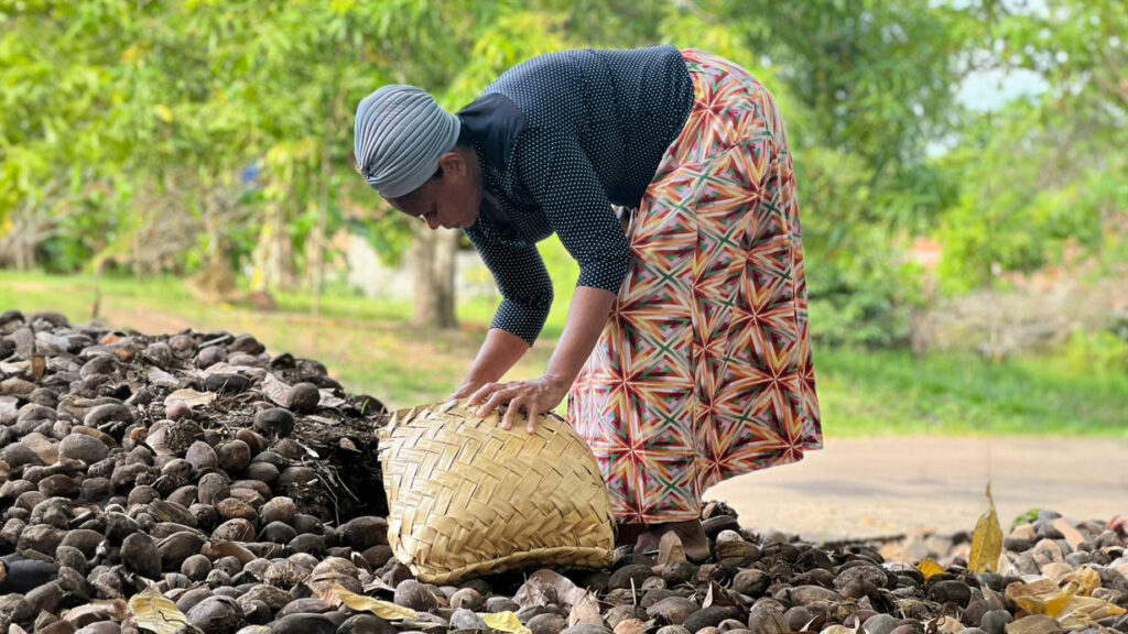 LATAM - Gender - Women in babassu chains in Brazil