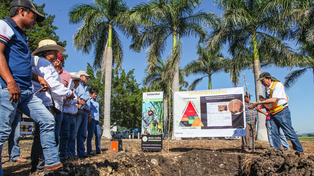 LATAM - Sugarcane highlight - MasCaña project in Mexico