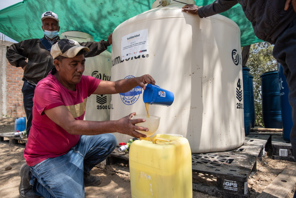 LATAM - Sustainable agriculture - Low-carbon fertilizers for banana in Peru