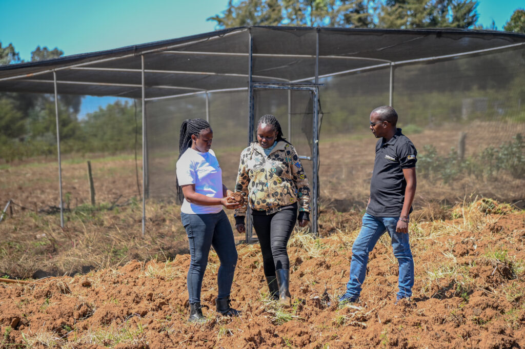 Pricillah-Wambui-in-her-farm-next-to-the-vegetable-shade-net-Nyandarua-County-Kenya-1