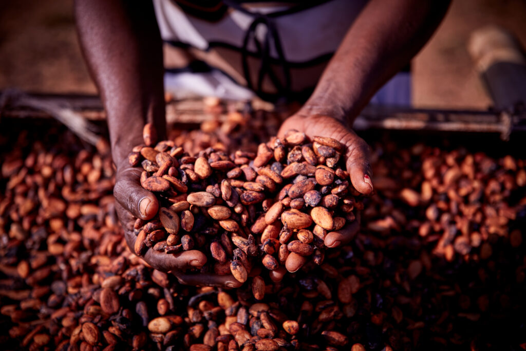 West Africa Cocoa
