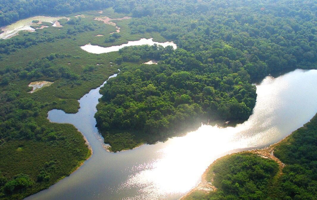 The wetlands of Laguna del Tigre National Park (Photo by WCS)