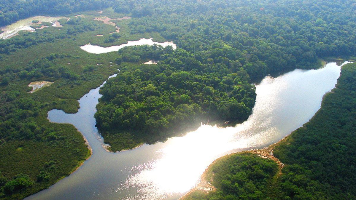 The wetlands of Laguna del Tigre National Park (Photo by WCS)