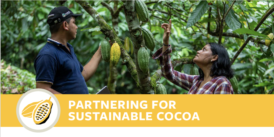 Solidaridad's cocoa solutions cover