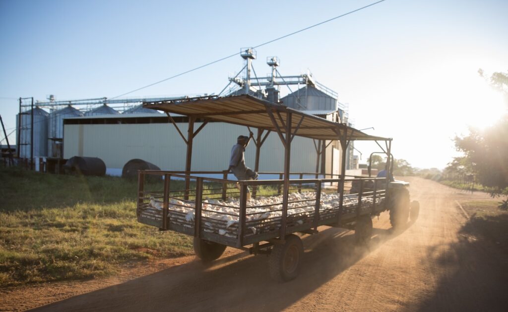 Tractor bringing soybeans to market in Mozambique