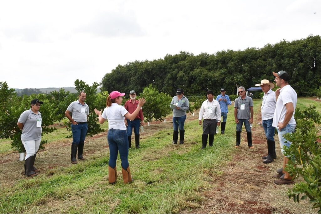 Training sessions foster valuable connections among citrus growers participating in the programme.