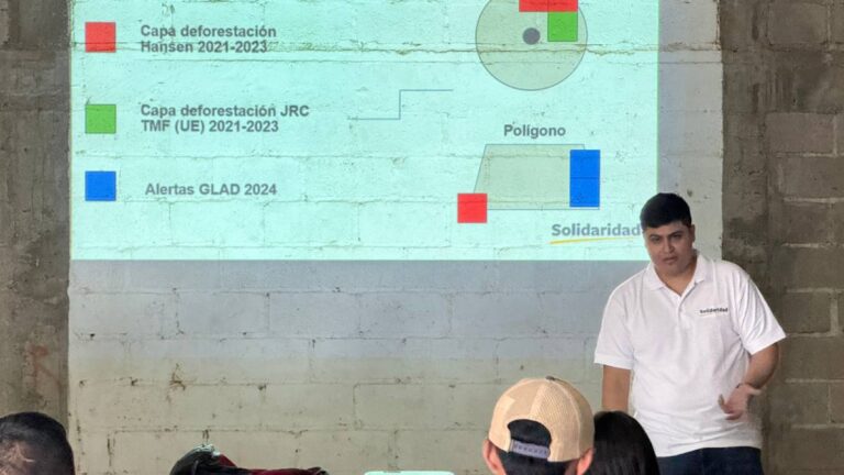 Our technical team presenting the EUDR pre-check, a Solidaridad solution to ensure traceability and legal compliance for coffee and palm oil bound for the European market.