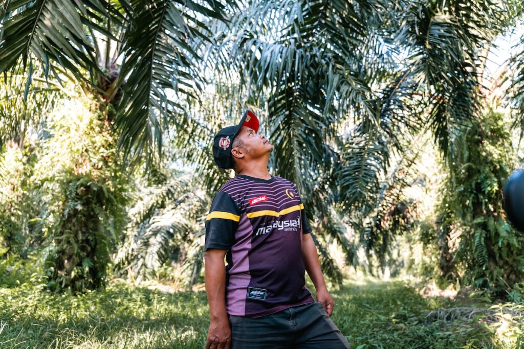 Smallholder oil palm farmer and indigenous leader Bathiar Dollah