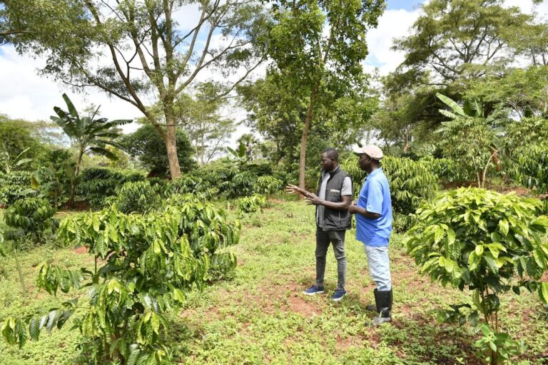 Making the Invisible, Visible: Modeling Carbon in Soil