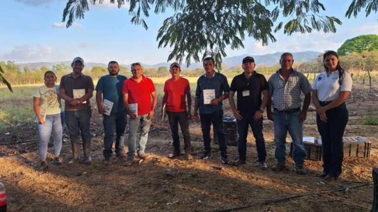 Paraíso Verde: Two years of advancing low-carbon agriculture in Honduras