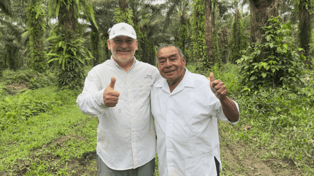 We are working with all value chain actors to drive innovation, productivity and resilience in Honduras’s palm sector.