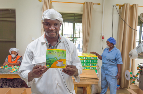 Ugandan tea processor secures 3.15 million dollar investment