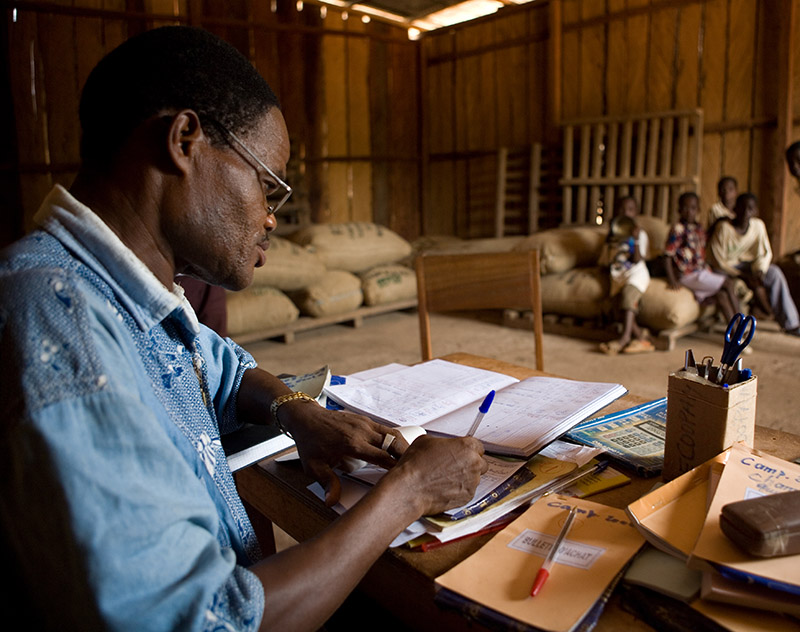 Better farm gate prices are crucial for a thriving cocoa sector. Photo: Olaf Hammelburg. 