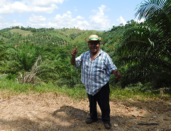 Fausto Martínez, oil palm producer, Honduras