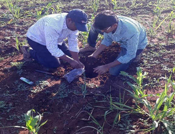 Osmania University's geology team conduct a hydro-geological study in a sugarcane field