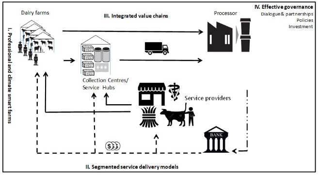 the dairy value chain approach developed by Solidaridad and the importance of each link in the dairy chain. 