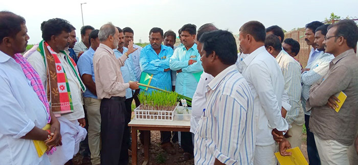 Sugarcane farmers receive training at Vasantdada Sugar Institute