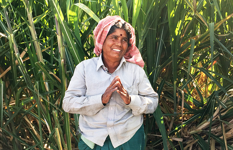 Solidaridad Asia Sugarcane Programme