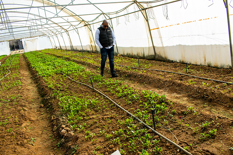 Solidaridad field manager walks through Ms Mathe's beet trial tunnel