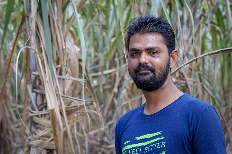 Ibrahim Hasibuddin in the sugarcane field