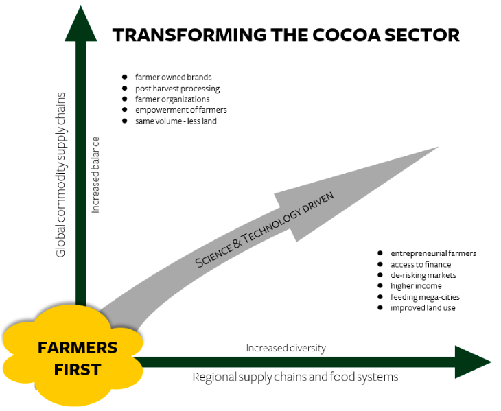 Transforming the cocoa sector